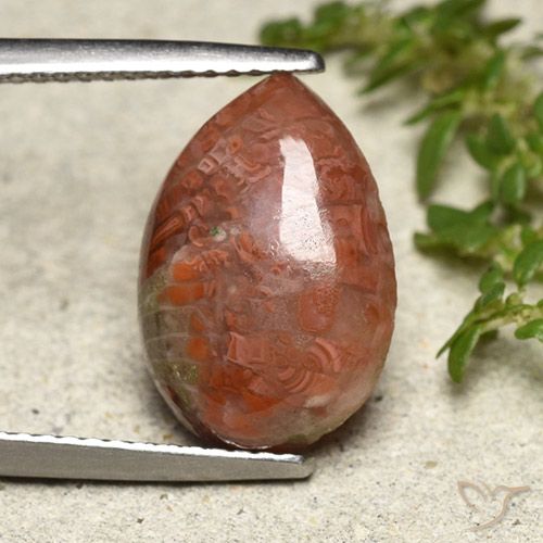 4.69ct Natural Multicolorido Coral, Formato de pêra, Translúcido