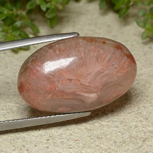 Coral Multicolorido Natural 14.86ct, oval, Translúcido