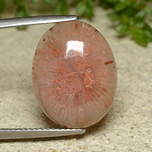 Coral multicolorido natural 10,65ct, corte oval, translúcido