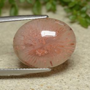 Coral multicolorido natural 10,65ct, corte oval, translúcido