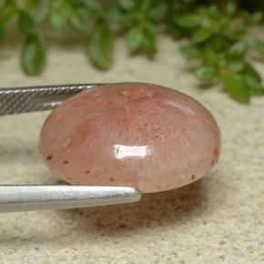 Coral multicolorido natural 10,65ct, corte oval, translúcido