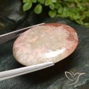 Coral Multicolorido Natural 15.21ct, oval, Translúcido