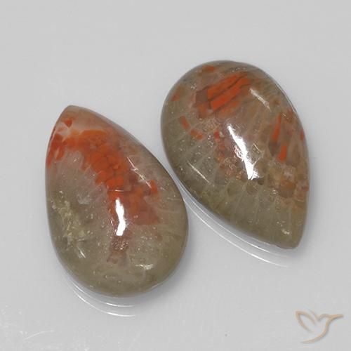 Pedras preciosas de Coral Multicolorido natural de 9.70 ct, Formato de pêra, Translúcido