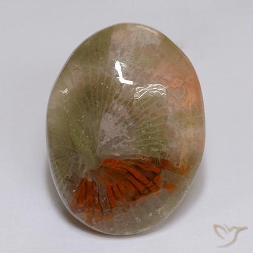Coral Multicolorido Natural 16.14ct, oval, Translúcido