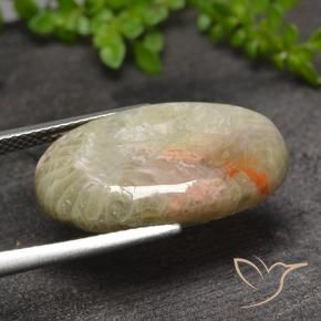 Coral Multicolorido Natural 11.82ct, oval, Translúcido