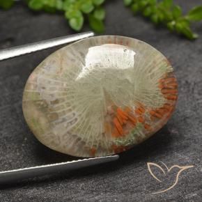 Coral Multicolorido Natural 15.10ct, oval, Translúcido