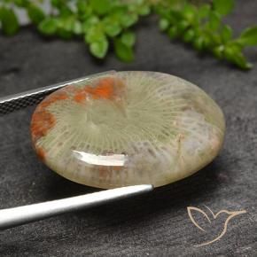 Coral Multicolorido Natural 15.10ct, oval, Translúcido