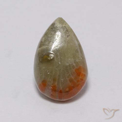 3.72ct Natural Multicolorido Coral, Formato de pêra, Opaco