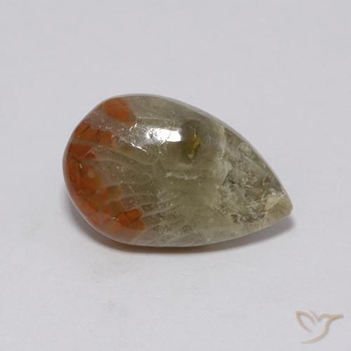 Coral Multicolorido Natural 3.72ct, Formato de pêra, Opaco