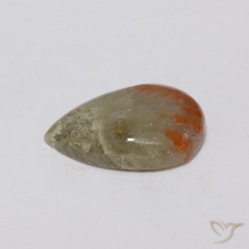 Coral Multicolorido Natural 3.72ct, Formato de pêra, Opaco