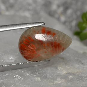 Coral multicolorido natural 2,84ct, formato de pêra, opaco