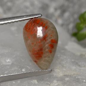 Coral multicolorido natural 2,84ct, formato de pêra, opaco