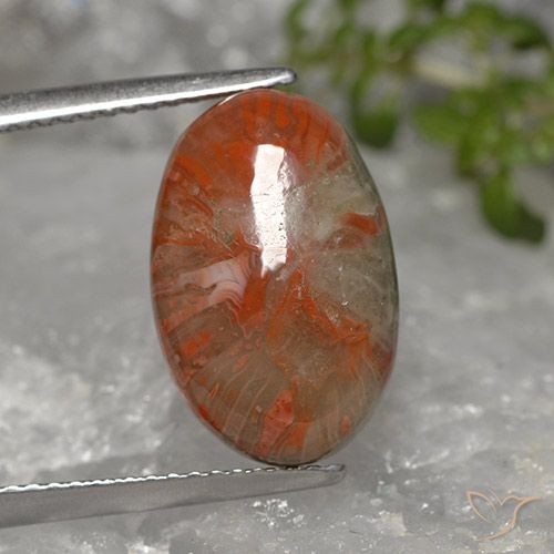 5.96ct Natural Multicolorido Coral, oval, Opaco