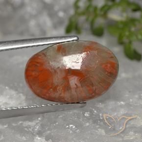 Coral Multicolorido Natural 5.96ct, oval, Opaco