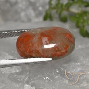Coral Multicolorido Natural 5.96ct, oval, Opaco