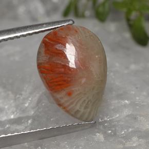 Coral multicolorido natural 3,19ct, formato de pêra, translúcido