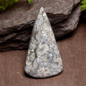 Coral multicolorido natural 29,10ct, trillion, opaco