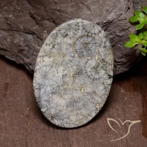 Coral Multicolorido Natural 43.74ct, oval, Opaco