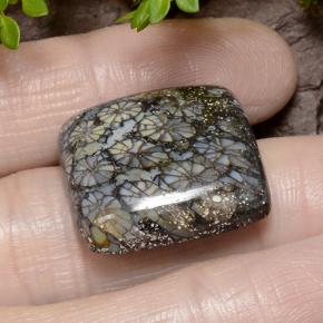 Coral Multicolorido Natural 23.19ct, Almofada cortada, Opaco