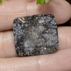 Coral Multicolorido Natural 23.19ct, Almofada cortada, Opaco