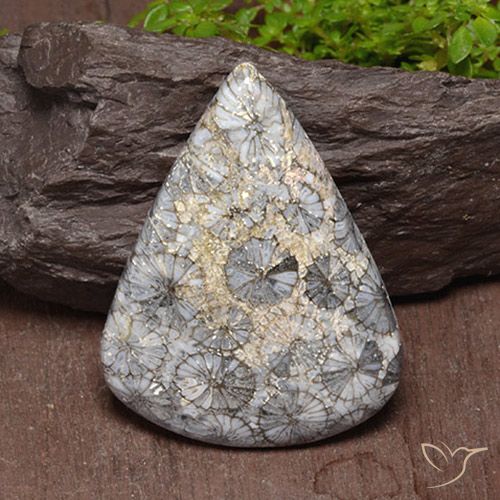47.39ct Natural Multicolorido Coral, Formato de pêra, Opaco