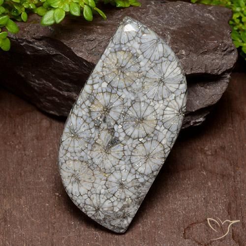 40.47ct Natural Multicolorido Coral, Chique, Opaco