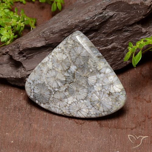 39.63ct Natural Multicolorido Coral, Formato de pêra, Opaco