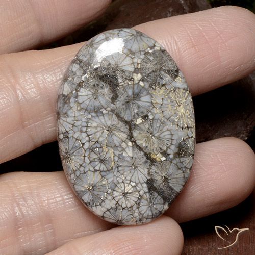 49.51ct Natural Multicolorido Coral, oval, Opaco