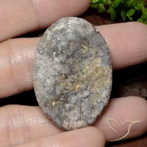 Coral Multicolorido Natural 49.51ct, oval, Opaco