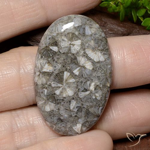 42.02ct Natural Multicolorido Coral, oval, Opaco