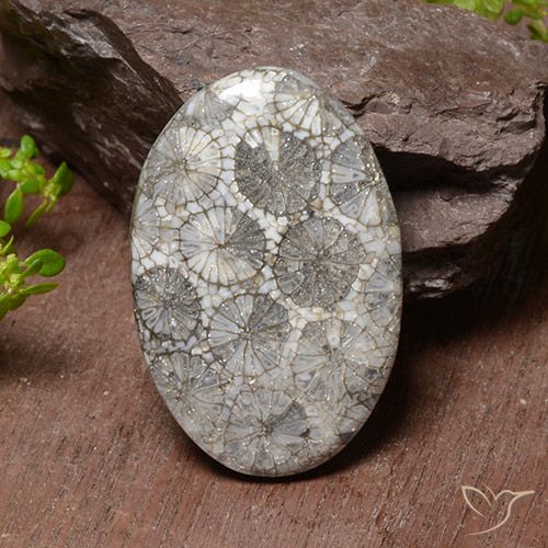 38.17ct Natural Multicolorido Coral, oval, Opaco