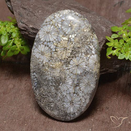 46.22ct Natural Multicolorido Coral, oval, Opaco