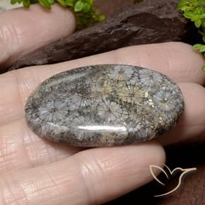 Coral Multicolorido Natural 46.22ct, oval, Opaco