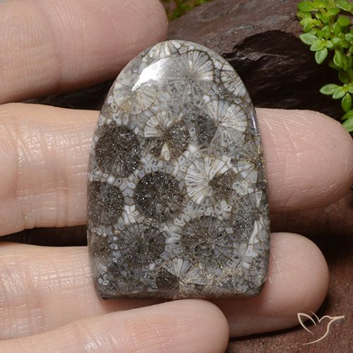 45.79ct Natural Multicolorido Coral, Chique, Opaco