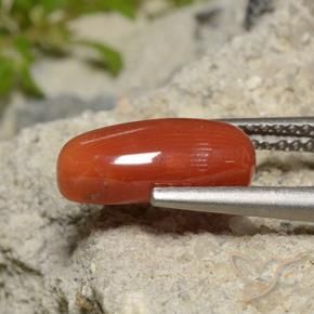 Coral Laranja Vermelho Natural 2.09ct, oval, Opaco