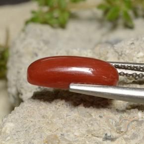 Coral Laranja Vermelho Natural 2.14ct, oval, Opaco