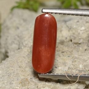 Coral Laranja Vermelho Natural 2.14ct, oval, Opaco