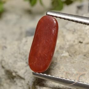 Coral batom vermelho Natural 1.89ct, oval, Opaco