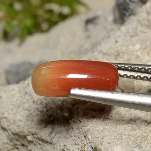 Coral Laranja Médio Natural 2.12ct, oval, Opaco