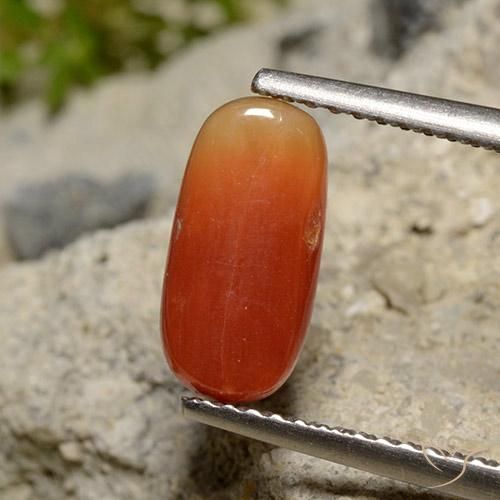 Coral Laranja Médio Natural 2.12ct, oval, Opaco