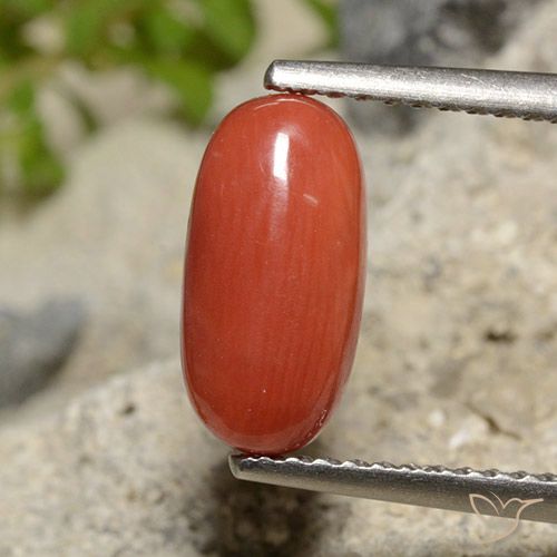 Coral laranja natural 1,73ct, corte oval, opaco