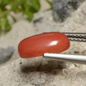 Coral laranja natural 1,73ct, corte oval, opaco