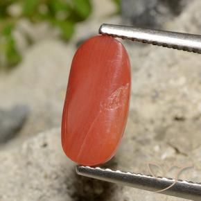 Coral laranja natural 1,73ct, corte oval, opaco