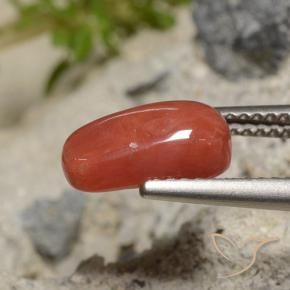 Coral Laranja Vermelho Natural 2.04ct, oval, Opaco