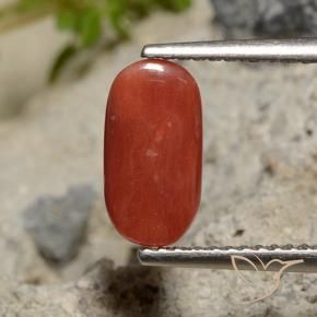 Coral Laranja Vermelho Natural 2.04ct, oval, Opaco
