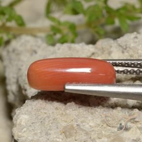 Coral fogo laranja Natural 2.00ct, oval, Opaco