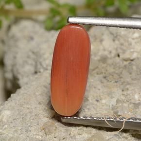Coral fogo laranja Natural 2.00ct, oval, Opaco