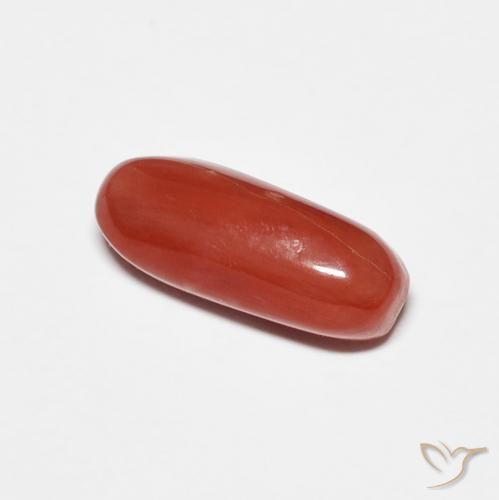 Coral vermelho médio Natural 2.01ct, oval, Opaco