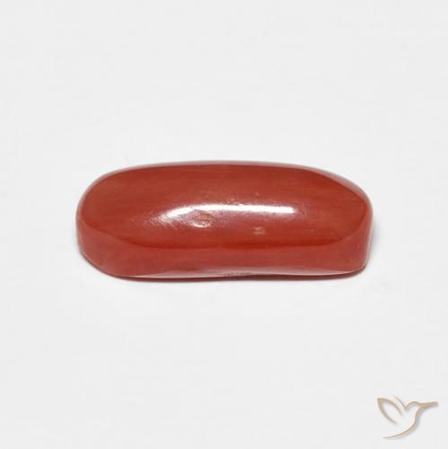 Coral vermelho médio Natural 2.01ct, oval, Opaco