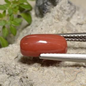 Coral Laranja Vermelho Natural 2.14ct, oval, Opaco